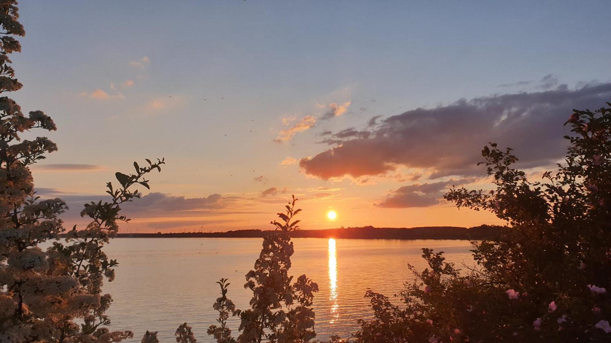 Seensucht & Urlaubstraeume, Ferienwohnung "Strand-Romantik" Senftenberg Kültér fotó