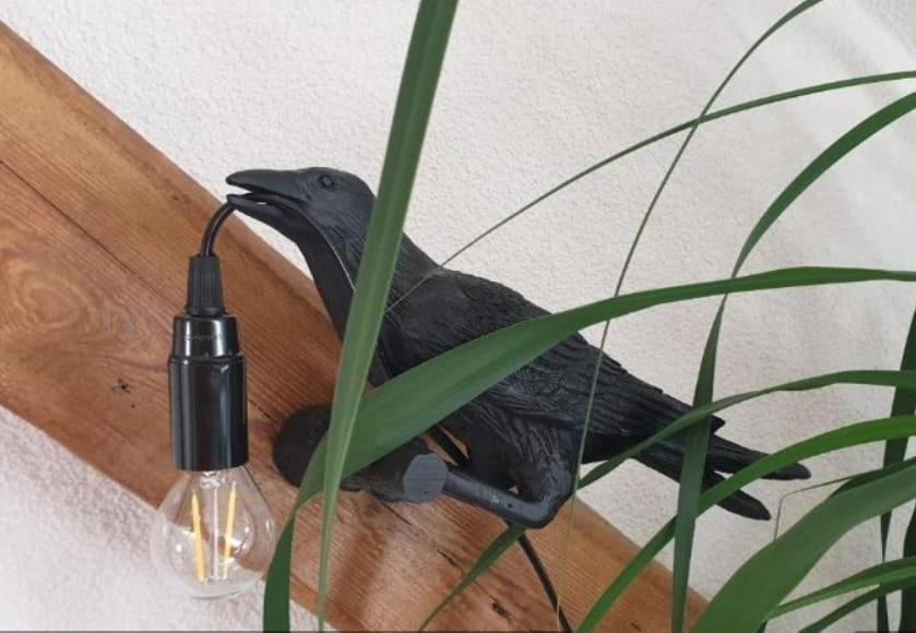 Seensucht & Urlaubstraeume, Ferienwohnung "Strand-Romantik" Senftenberg Kültér fotó